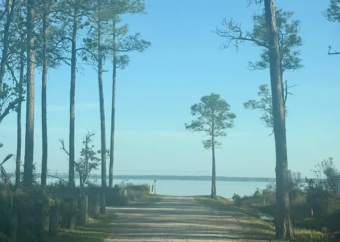 2602 Rookery 1 2 A Shiny Penny - Hot Tub Pool Holiday home Gulf Shores